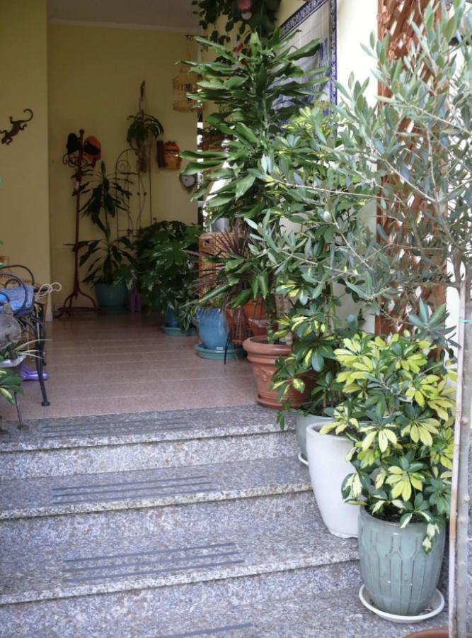 Lovely Flat In Northern Sardinia Valledoria  Exterior photo